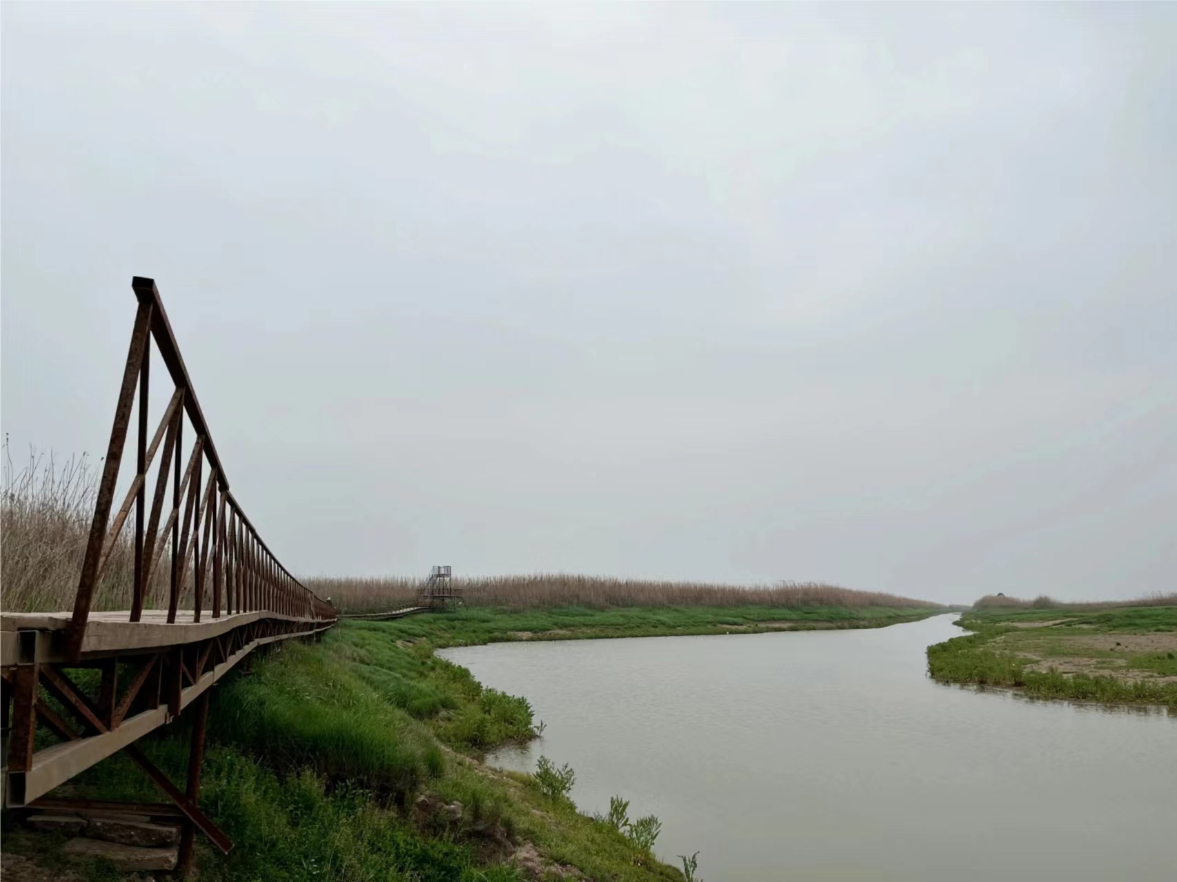 1712475112530052086.jpg 4.7熊夢紅2.jpg