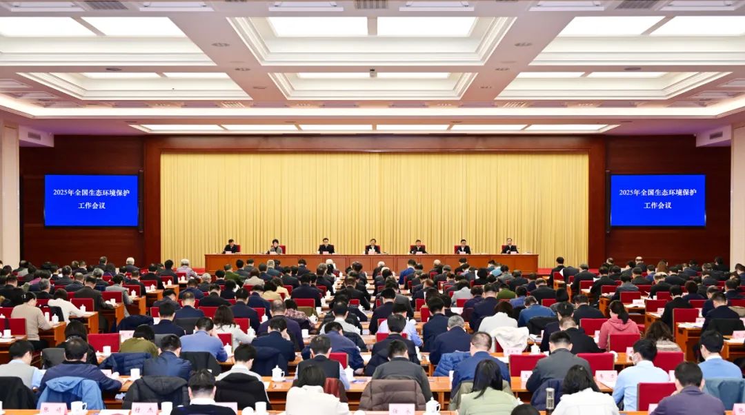 1736988669905093203.jpeg 1736988669905093203.jpeg